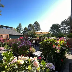  Gasthof Garden In -beautiful In